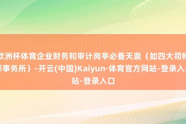欧洲杯体育企业财务和审计岗亭必备天禀（如四大司帐师事务所）-开云(中国)Kaiyun·体育官方网站-登录入口